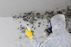 Best Forensic Mold Investigation  in Tiffin, OH